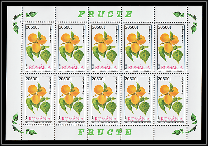 Apricot (Armeniaca vulgaris)