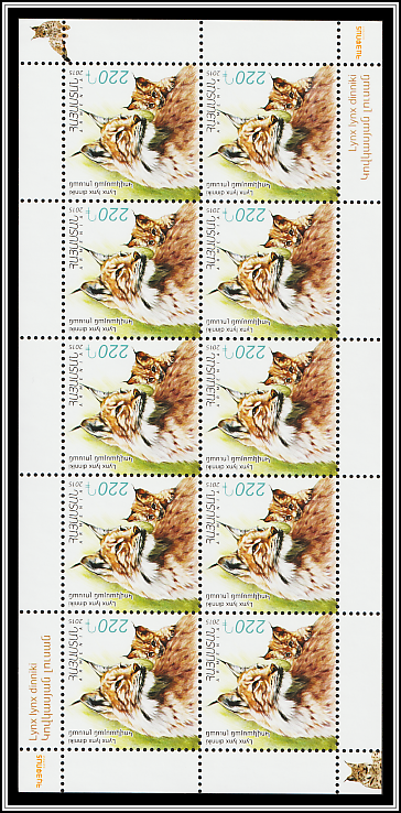 Caucasian Lynx (Lynx lynx dinniki)