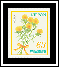 Safflower