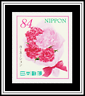 Carnation