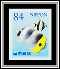 Butterflyfish Moorish Idol