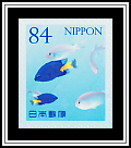 Yellowtail Damselfish Blue-green Chromis