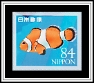 Ocellaris Clownfish