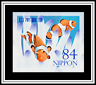 Ocellaris Clownfish