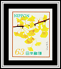 Ginkgo Biloba