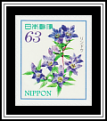 Gentian