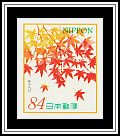 Maple Leaf