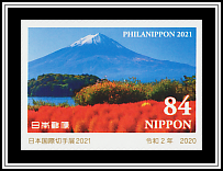 Mt Fuji, Kochia & Cosmos
