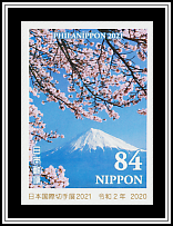 Mt Fuji & Cherry Blossoms