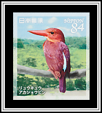Ruddy Kingfisher