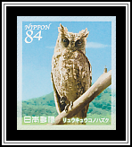 Ryūkyū Scops Owl
