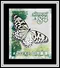 Large Tree Nymph