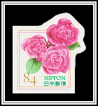 Dark Pink Rose