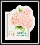Pale Orane Rose