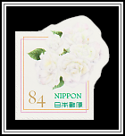 White Rose