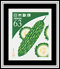 Bitter Melon