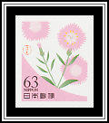 China Pink Blossoms