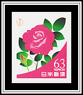 Rose Blossom