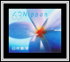 Frangipani