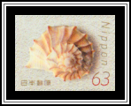 Sea Shell