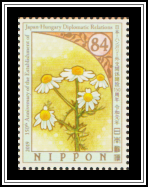 Chamomile