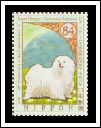 Puli