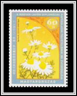 Chamomile