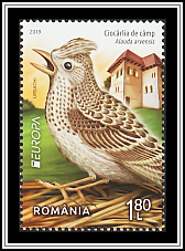 Eurasian Skylark