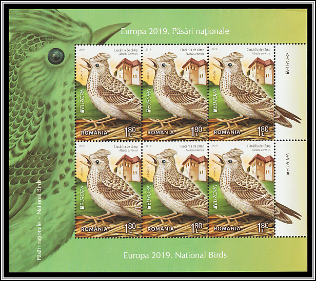 Eurasian Skylark (Alauda arvensis)