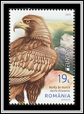 Golden Eagle