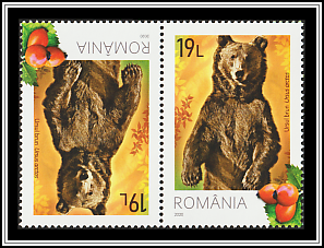 Brown Bear (Ursus arctos)