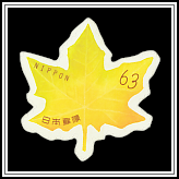 Maple Leaf