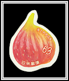 Fig