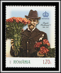 King Ferdinand - Botany