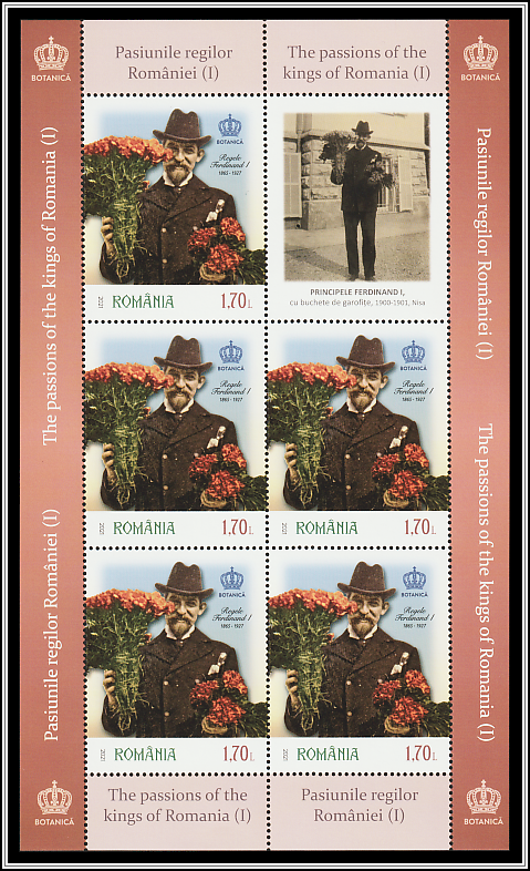 King Ferdinand - Botany