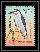 Black-Crowned Night Heron