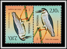 Tête-bêche Pair Type II