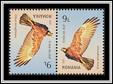 Tête-bêche Pair Type II