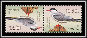 Tête-bêche Pair Type II