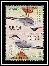 Tête-bêche Pair Type III