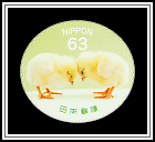 Baby Chicks