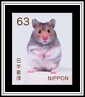 Baby Hamster