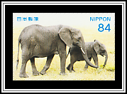 Elephants