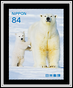 Polar Bears