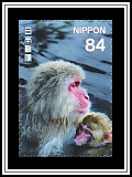 Macaques