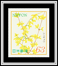 Forsythia