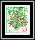 Ardisia crenata