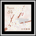Cherry Blossoms & Cat