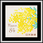 Mimosa