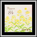 Rape Blossoms